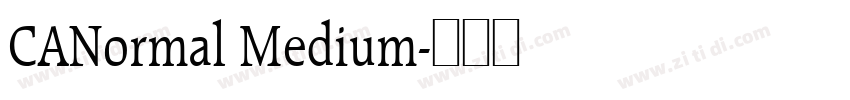 CANormal Medium字体转换